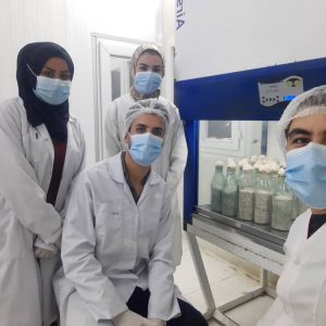 مشاوره در زمینه راه اندازی آزمایشگاه تولید بذر قارچ در کشور عراق