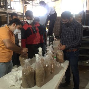 مشاوره و راه اندازی واحد تولید کمپوست قارچ های چوب رس در شرکت مه چین شیراز