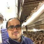 آموزش پرورش قارچ در هلند